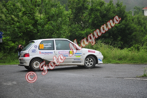 DSC_1128.jpg